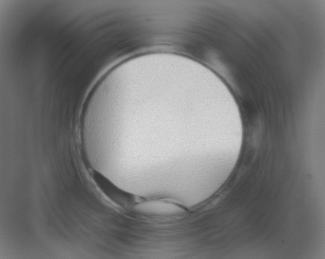 X0000081351436200702082243