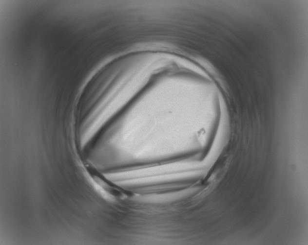 X0000081351438200702082243