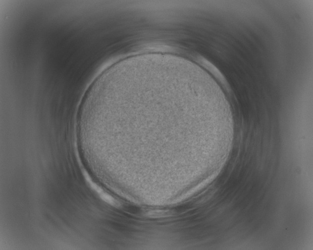 X0000081351439200702082243