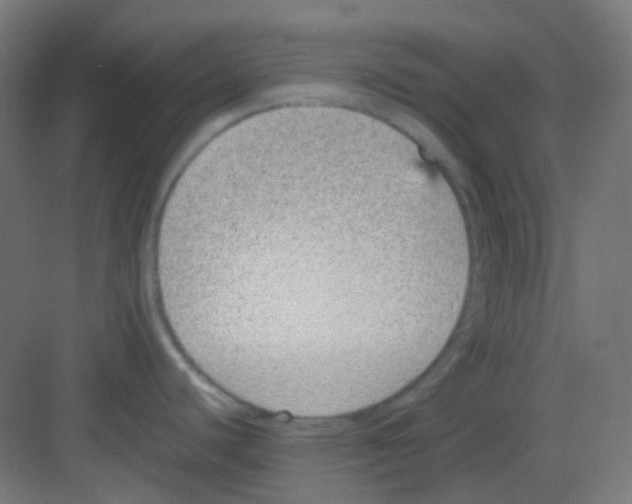 X0000081351440200702082243