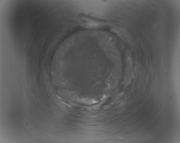 X0000081351441200702082242