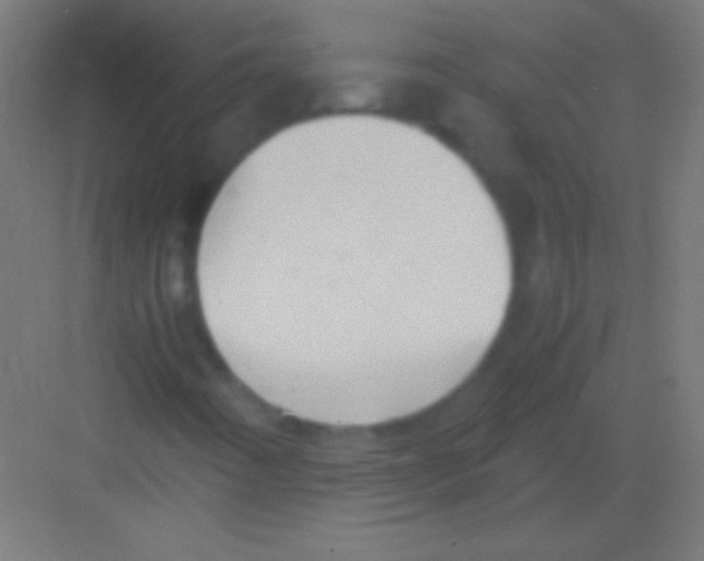 X0000081351442200702082242