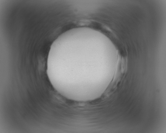 X0000081351443200702082242