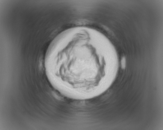 X0000081351444200702082242