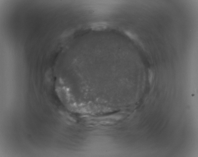 X0000081351445200702082242