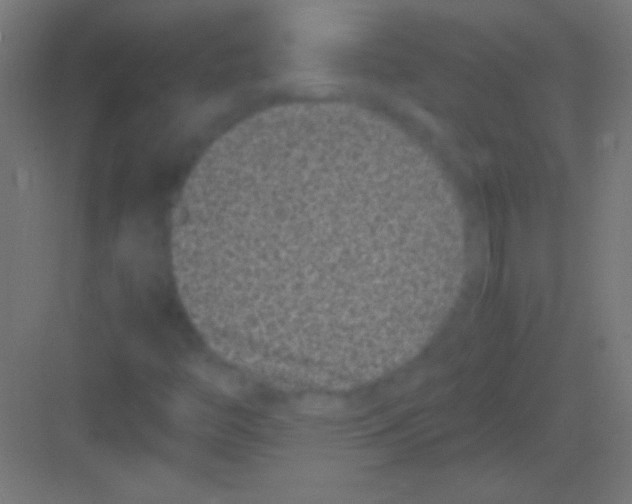 X0000081351446200702082242