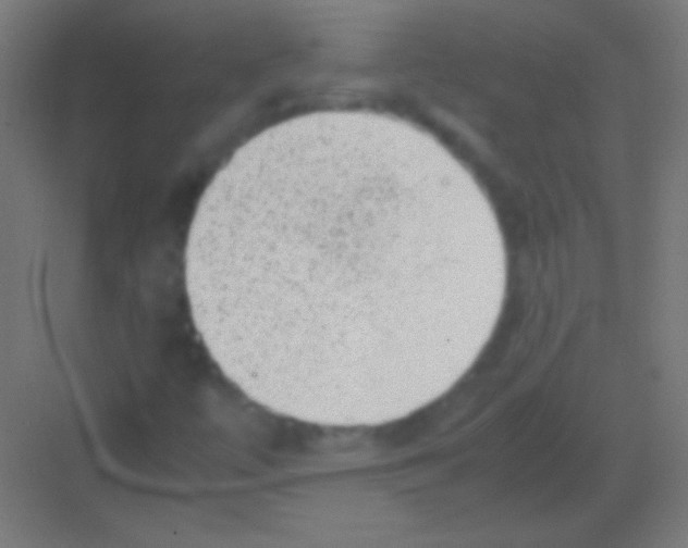 X0000081351447200702082242