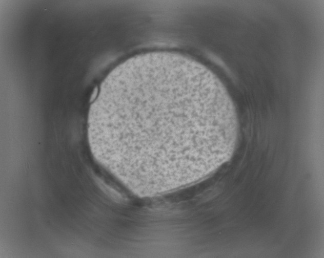 X0000081351448200702082242