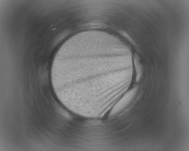 X0000081351450200702082242