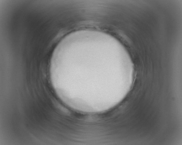 X0000081351451200702082242