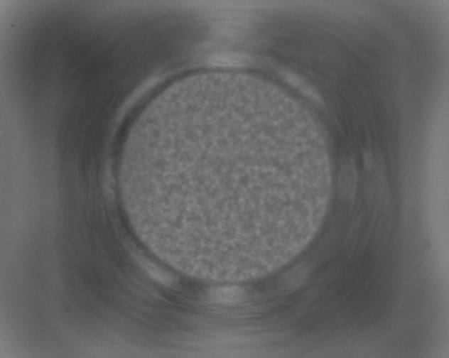 X0000081351454200702082242