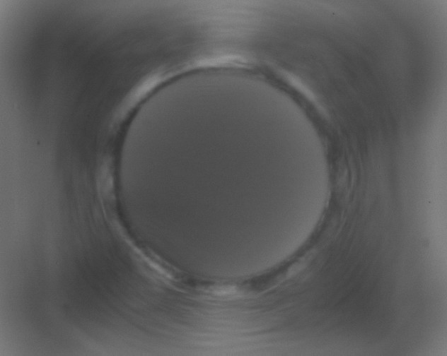 X0000081351455200702082242