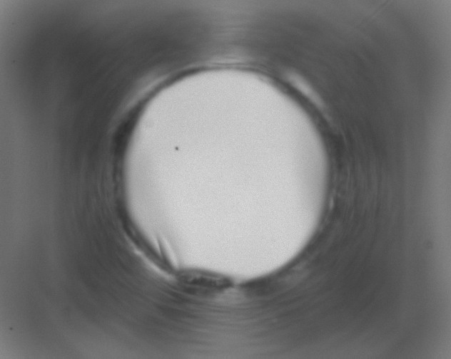 X0000081351456200702082242