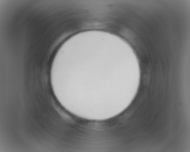 X0000081351458200702082242