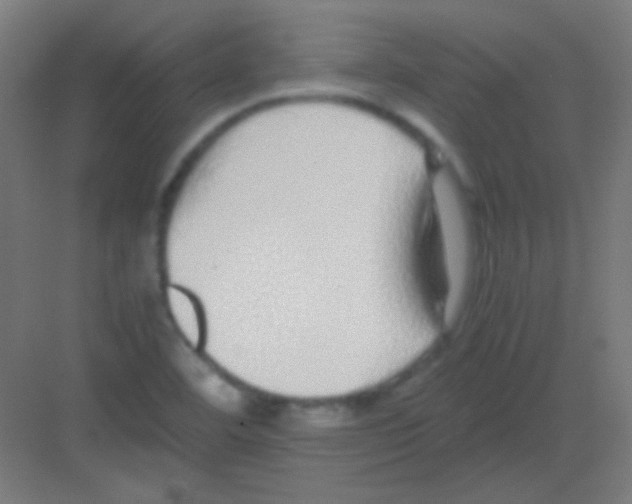 X0000081351460200702082242