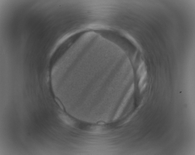 X0000081351461200702082242