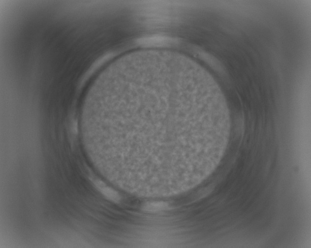 X0000081351462200702082242