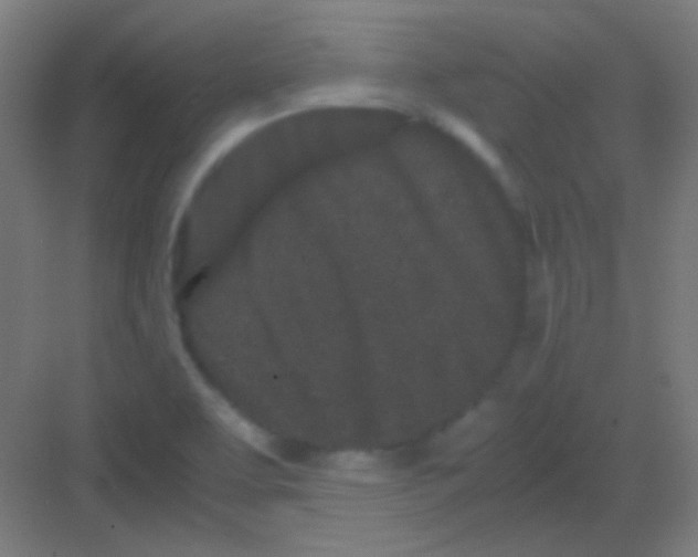 X0000081351463200702082242