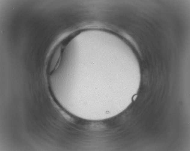 X0000081351464200702082242