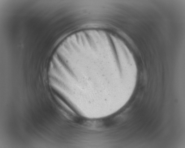 X0000081351465200702082242