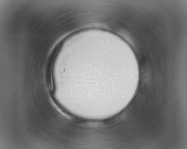 X0000081351468200702082242