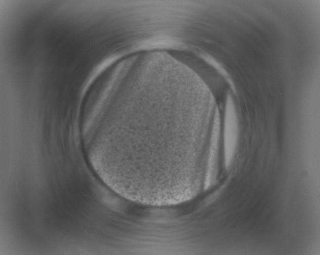 X0000081351469200702082242