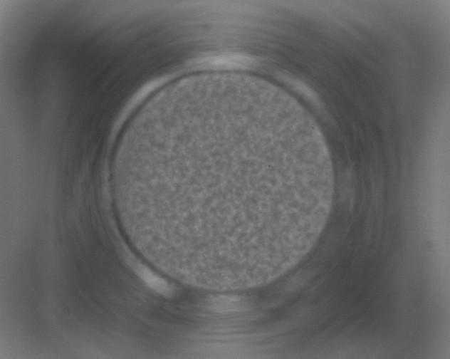 X0000081351470200702082242