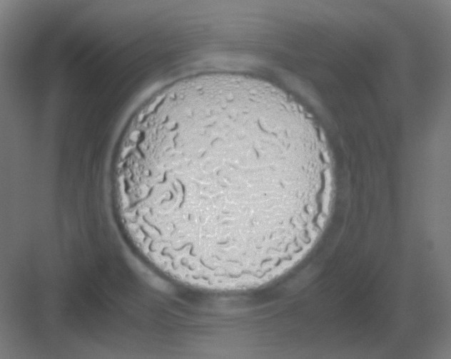 X0000081351471200702082242