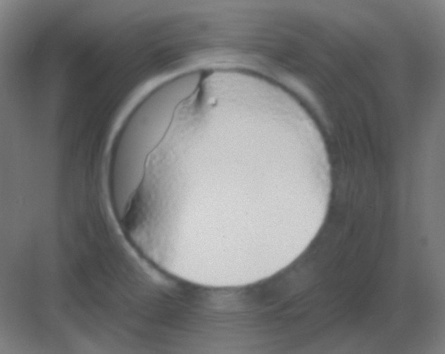 X0000081351472200702082242