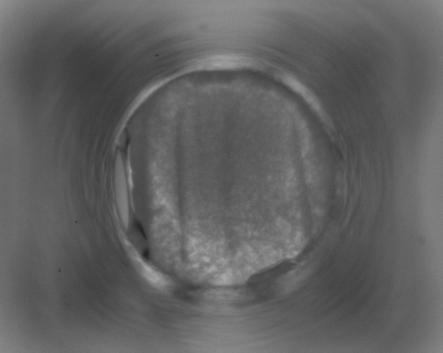 X0000081351473200702082242