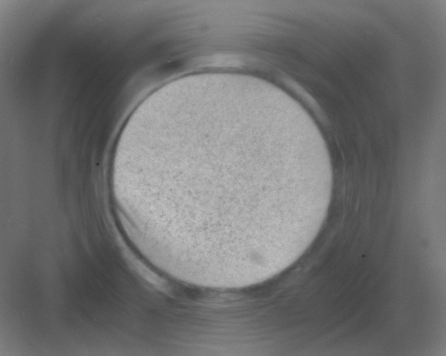 X0000081351475200702082242