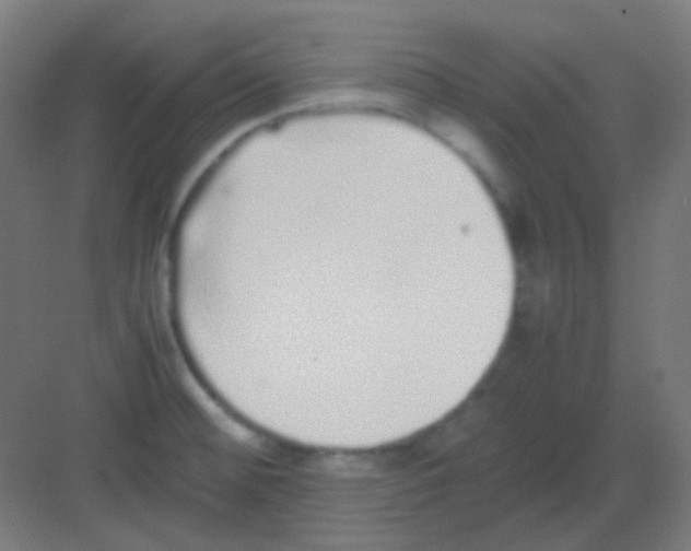 X0000081351476200702082242