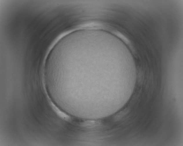 X0000081351478200702082242