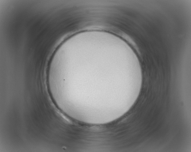 X0000081351480200702082242