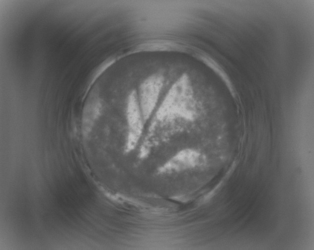 X0000081351481200702082242