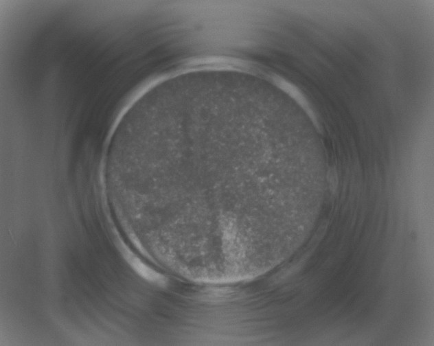 X0000081351482200702082242