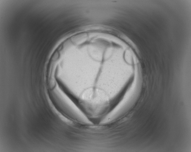 X0000081351483200702082241