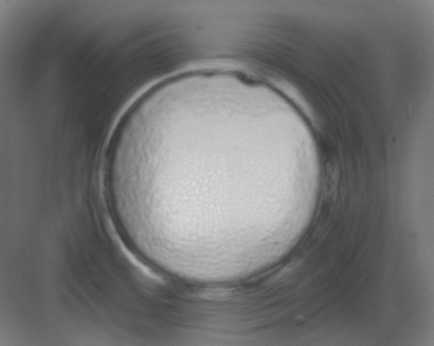 X0000081351484200702082241