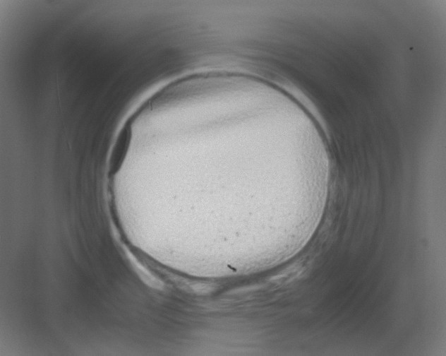 X0000081351485200702082241