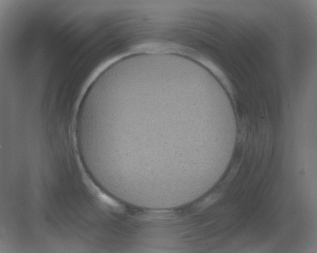 X0000081351486200702082241