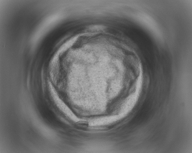 X0000081351487200702082241