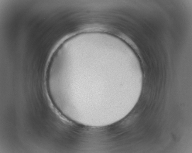 X0000081351488200702082241