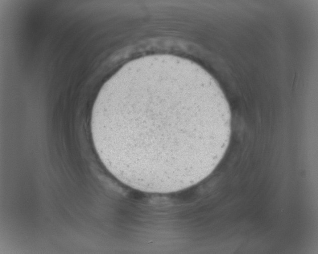 X0000081351489200702082241