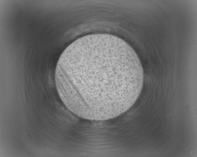 X0000081351490200702082241