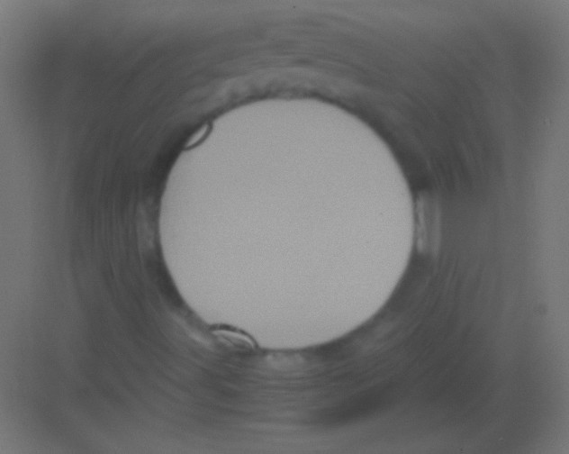 X0000081351491200702082241