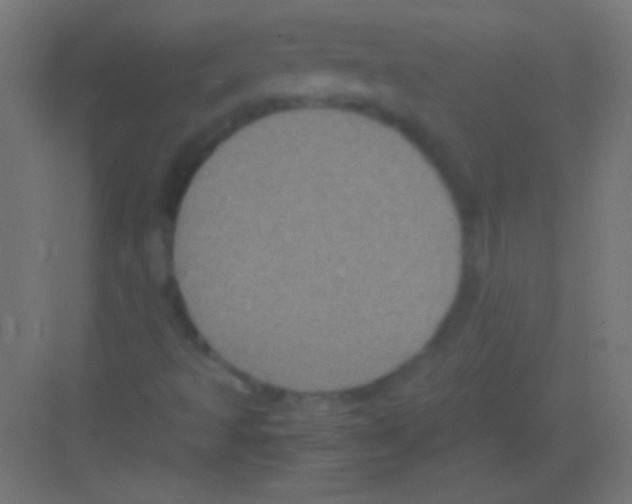 X0000081351493200702082241