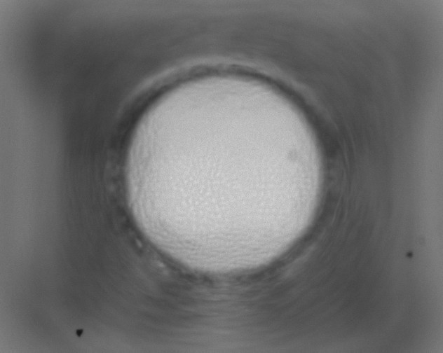 X0000081351494200702082241