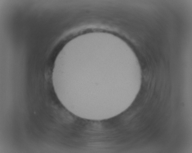 X0000081351495200702082241