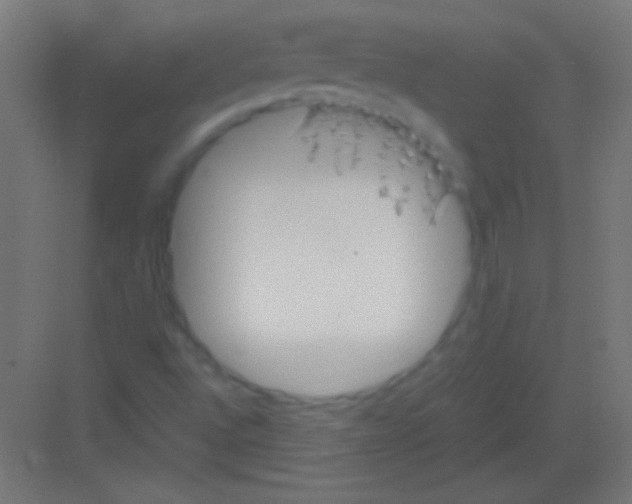 X0000081351496200702082241