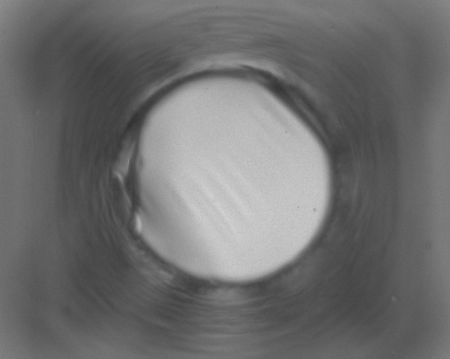 X0000081351497200702082241